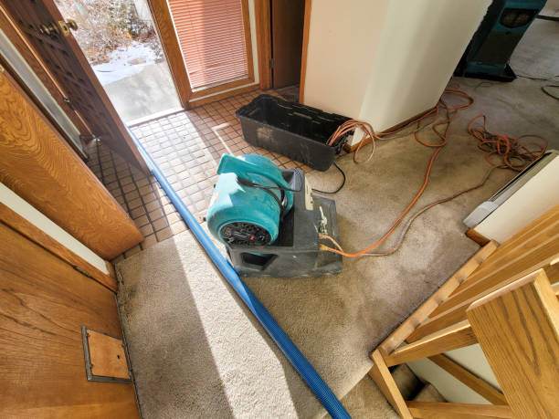 Best Local water damage restoration  in Isanti, MN