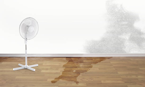 Best Water damage restoration near me  in Isanti, MN