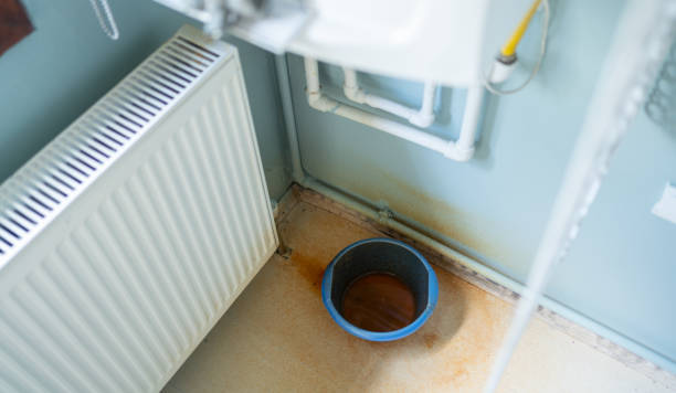 Best 24-hour water damage restoration  in Isanti, MN
