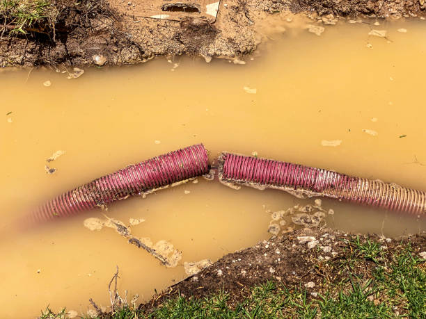 Professional Water damage restoration in MN